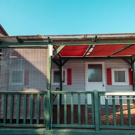 Apartment Family Friendly With A Swimming Pool Pakostane, Biograd - 18980 Pakostane